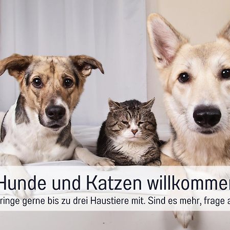 Ferienhaus Toepferhaus - Strandnah, Haustierfreundlich, Optimal Fuer Workation, Kaminofen, Garten, Fuer Paare Und Alleinreisende Steinberg  Dış mekan fotoğraf